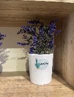 Plante décorative Bambou artificie