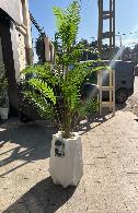 Plante décorative Palmier décoratif artifici
