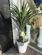 Plante décorative  Yucca artificiel décorat